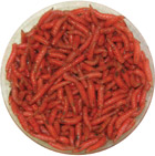 red dyed maggots