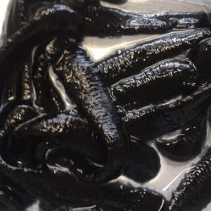 Evergreen Bio Leeches 10 ct.